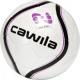 CAW-FBALL14