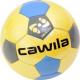 CAW-FBALL15